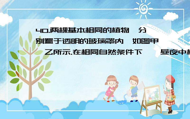 40.两棵基本相同的植物,分别置于透明的玻璃罩内,如图甲、乙所示.在相同自然条件下,一昼夜中植物氧气释放速率分别如丙、丁曲线所示.下列说法正确的是      A．ab段和cd段,曲线下降的原因