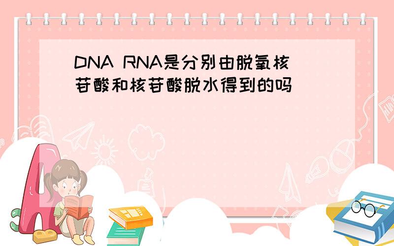 DNA RNA是分别由脱氧核苷酸和核苷酸脱水得到的吗