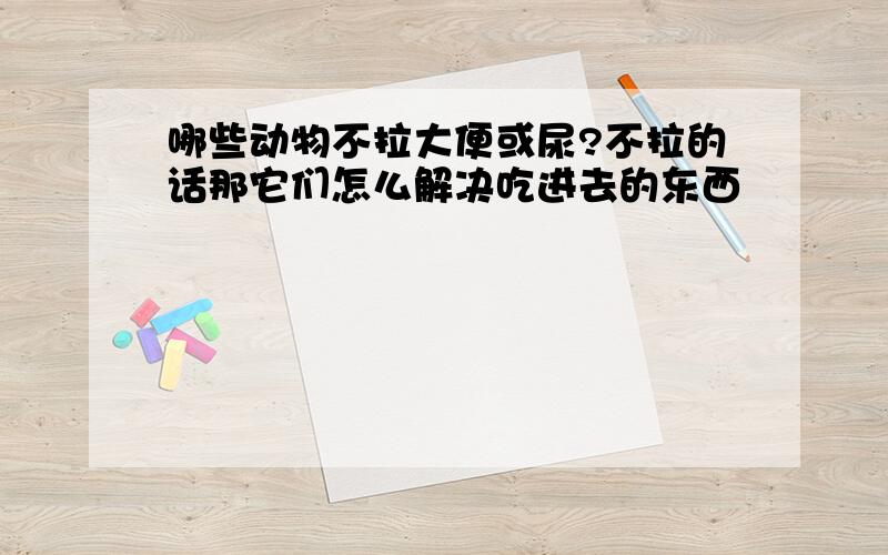 哪些动物不拉大便或尿?不拉的话那它们怎么解决吃进去的东西