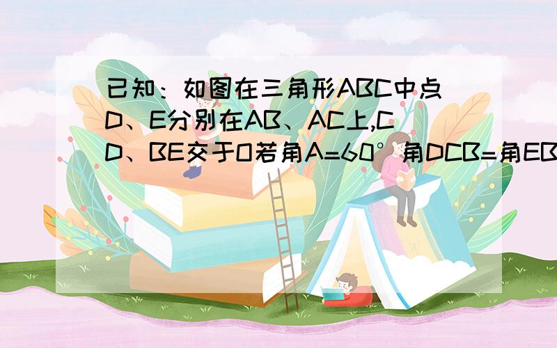 已知：如图在三角形ABC中点D、E分别在AB、AC上,CD、BE交于O若角A=60°角DCB=角EBC=0.5角A（1）求证BD＝EC