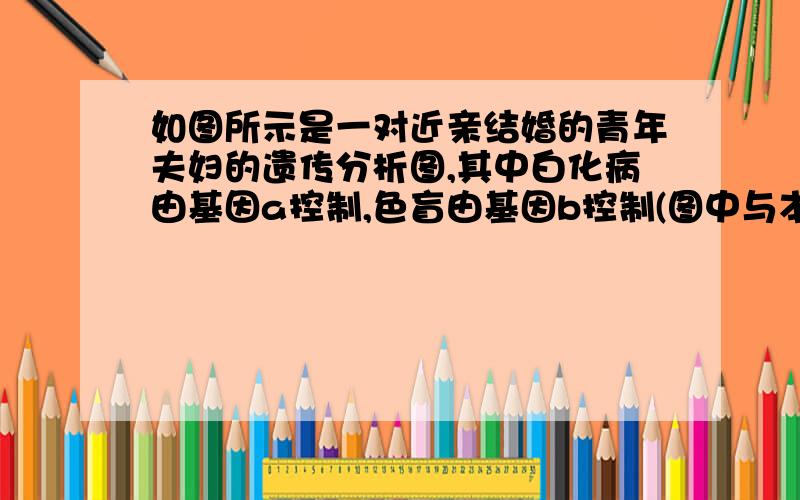 如图所示是一对近亲结婚的青年夫妇的遗传分析图,其中白化病由基因a控制,色盲由基因b控制(图中与本题无关的染色体省略),据图以下说法正确的A．图中E细胞和F细胞的DNA数目都是23条,含有1