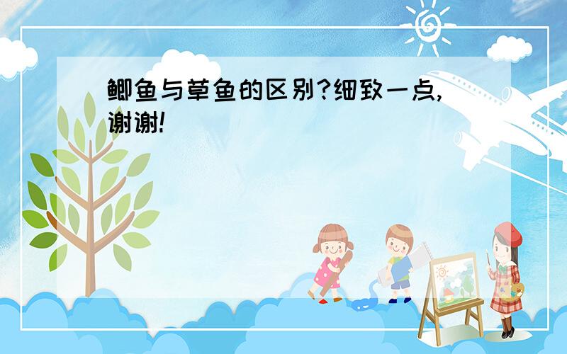 鲫鱼与草鱼的区别?细致一点,谢谢!