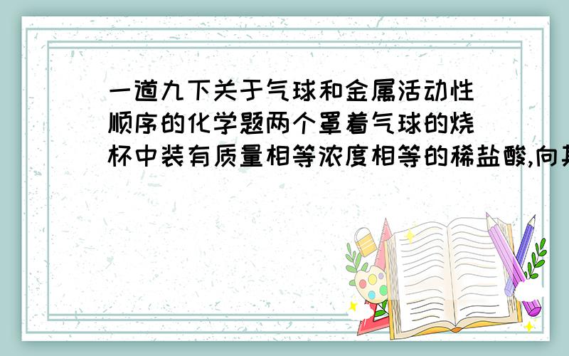 一道九下关于气球和金属活动性顺序的化学题两个罩着气球的烧杯中装有质量相等浓度相等的稀盐酸,向其中一个烧杯当中加sn块,另一个当中装au块,观察现象