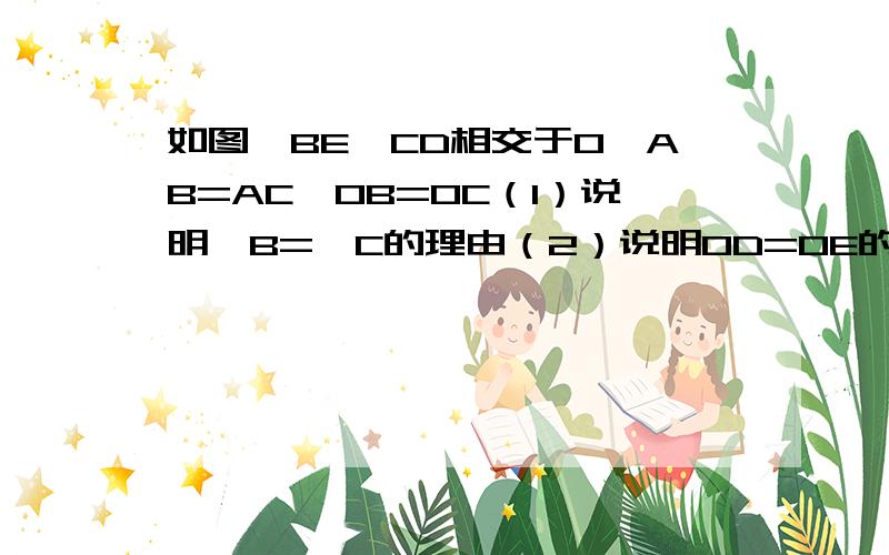 如图,BE、CD相交于O,AB=AC,OB=OC（1）说明∠B=∠C的理由（2）说明OD=OE的理由