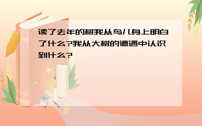 读了去年的树我从鸟儿身上明白了什么?我从大树的遭遇中认识到什么?