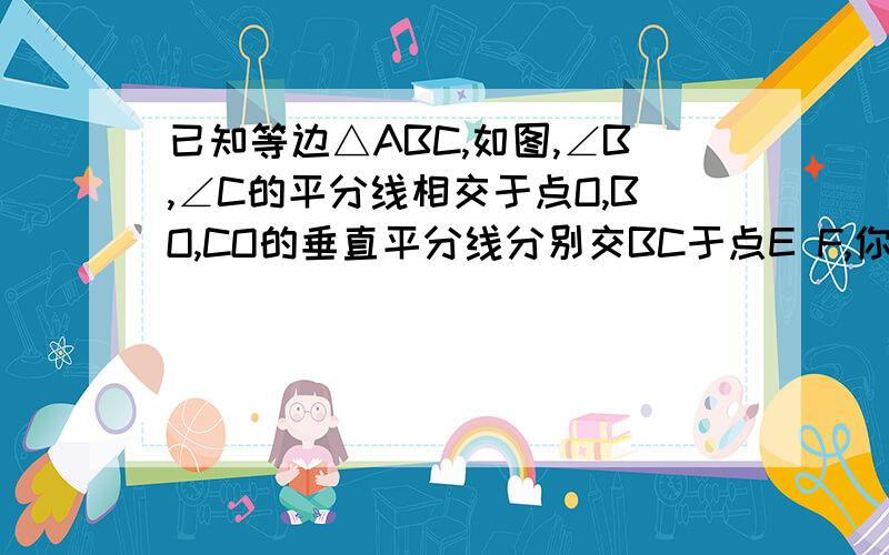 已知等边△ABC,如图,∠B,∠C的平分线相交于点O,BO,CO的垂直平分线分别交BC于点E F,你能得到BE=EF=FC吗?