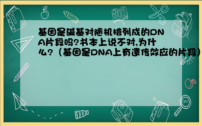 基因是碱基对随机排列成的DNA片段吗?书本上说不对,为什么?（基因是DNA上有遗传效应的片段）