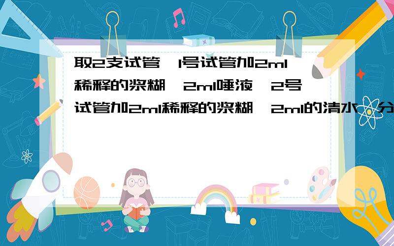 取2支试管,1号试管加2ml稀释的浆糊、2ml唾液,2号试管加2ml稀释的浆糊、2ml的清水,分别向两支试管中各滴加