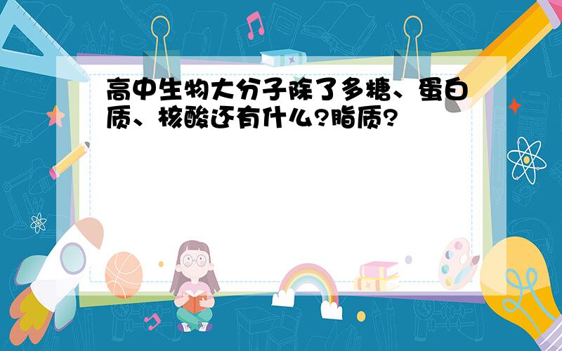 高中生物大分子除了多糖、蛋白质、核酸还有什么?脂质?