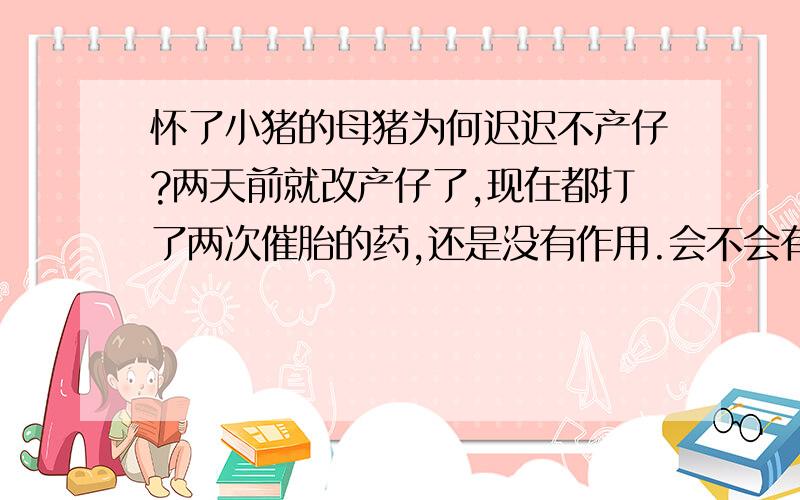 怀了小猪的母猪为何迟迟不产仔?两天前就改产仔了,现在都打了两次催胎的药,还是没有作用.会不会有什么疾病,