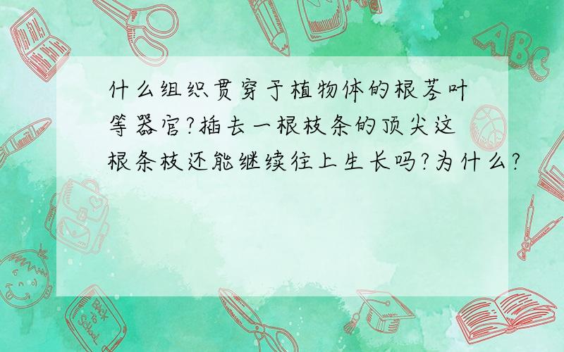 什么组织贯穿于植物体的根茎叶等器官?插去一根枝条的顶尖这根条枝还能继续往上生长吗?为什么?