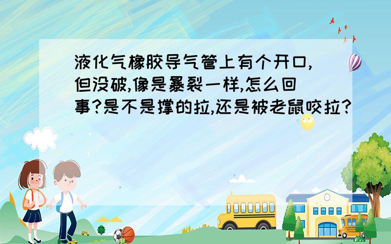 液化气橡胶导气管上有个开口,但没破,像是暴裂一样,怎么回事?是不是撑的拉,还是被老鼠咬拉?