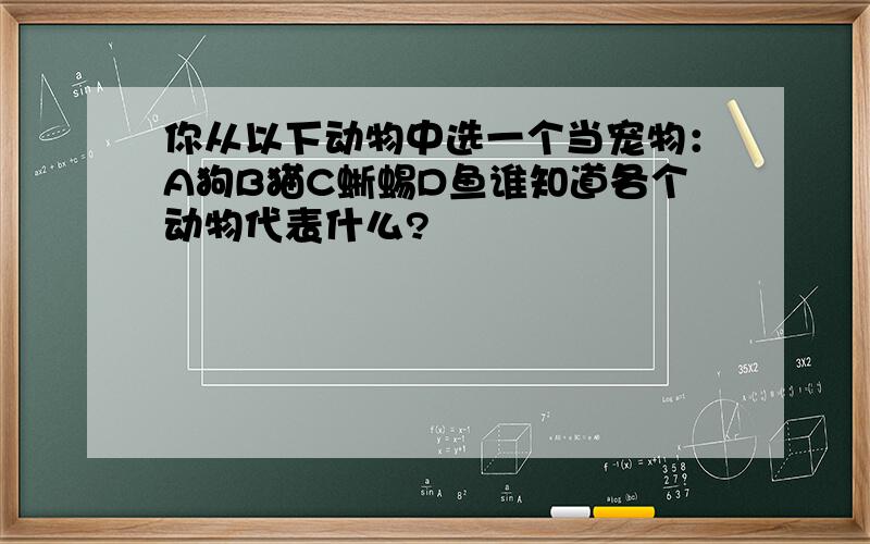 你从以下动物中选一个当宠物：A狗B猫C蜥蜴D鱼谁知道各个动物代表什么?