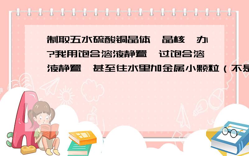 制取五水硫酸铜晶体,晶核咋办?我用饱合溶液静置,过饱合溶液静置,甚至往水里加金属小颗粒（不是铁）,均无果.烧杯底只有一片碎晶,一个大的也没.晶核倒底咋弄?用毛边的小石头可以吗?还有