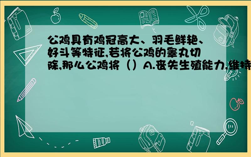 公鸡具有鸡冠高大、羽毛鲜艳、好斗等特征,若将公鸡的睾丸切除,那么公鸡将（）A.丧失生殖能力,维持第二性征B.仍有生殖能力,第二性征消失C.丧失生殖能力,第二性征消失D.仍有生殖能力,维