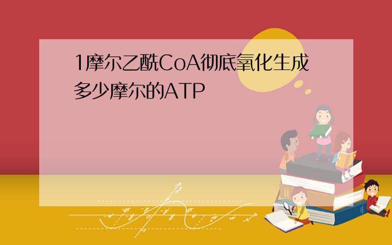 1摩尔乙酰CoA彻底氧化生成多少摩尔的ATP