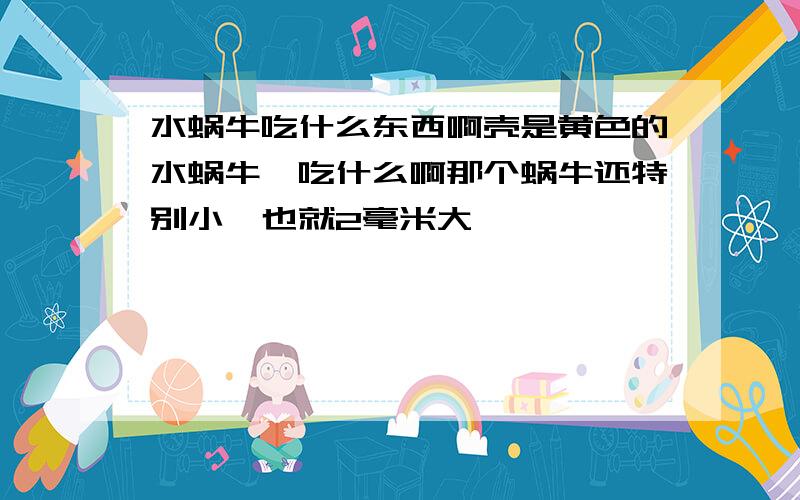 水蜗牛吃什么东西啊壳是黄色的水蜗牛,吃什么啊那个蜗牛还特别小,也就2毫米大