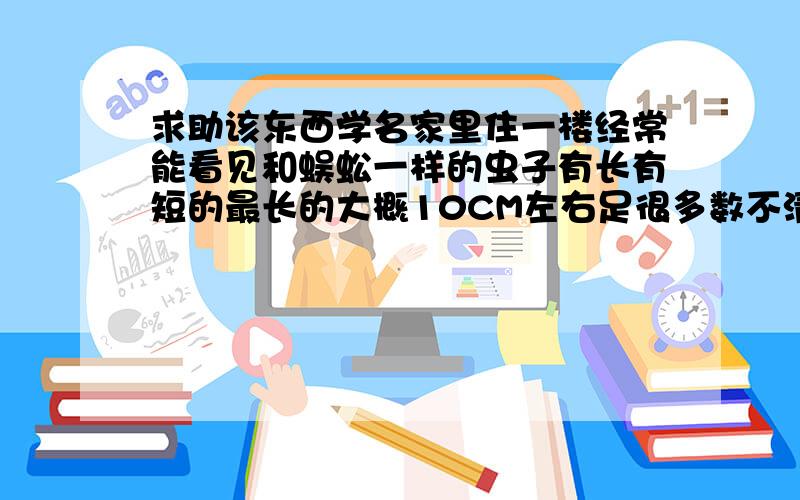 求助该东西学名家里住一楼经常能看见和蜈蚣一样的虫子有长有短的最长的大概10CM左右足很多数不清不是红体是黑体的墙上已经好多尸体了看着那爬来爬去的头皮都发麻了.不是蚰蜒因为足