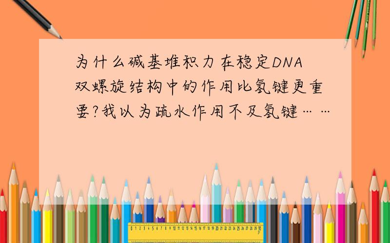 为什么碱基堆积力在稳定DNA双螺旋结构中的作用比氢键更重要?我以为疏水作用不及氢键……