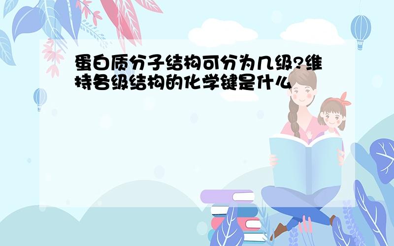 蛋白质分子结构可分为几级?维持各级结构的化学键是什么