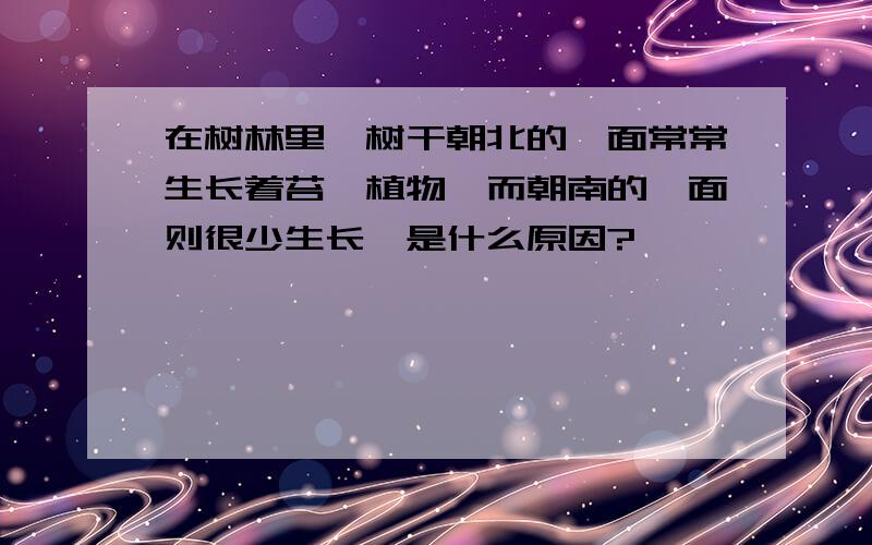 在树林里,树干朝北的一面常常生长着苔藓植物,而朝南的一面则很少生长,是什么原因?