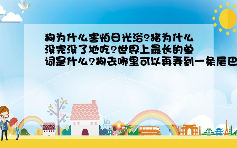 狗为什么害怕日光浴?猪为什么没完没了地吃?世界上最长的单词是什么?狗去哪里可以再弄到一条尾巴?是“英语”脑筋急转弯的问题...