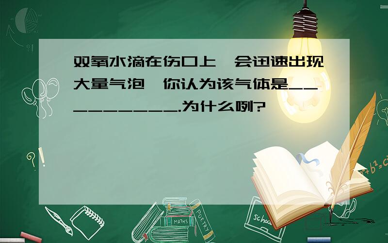 双氧水滴在伤口上,会迅速出现大量气泡,你认为该气体是_________.为什么咧?