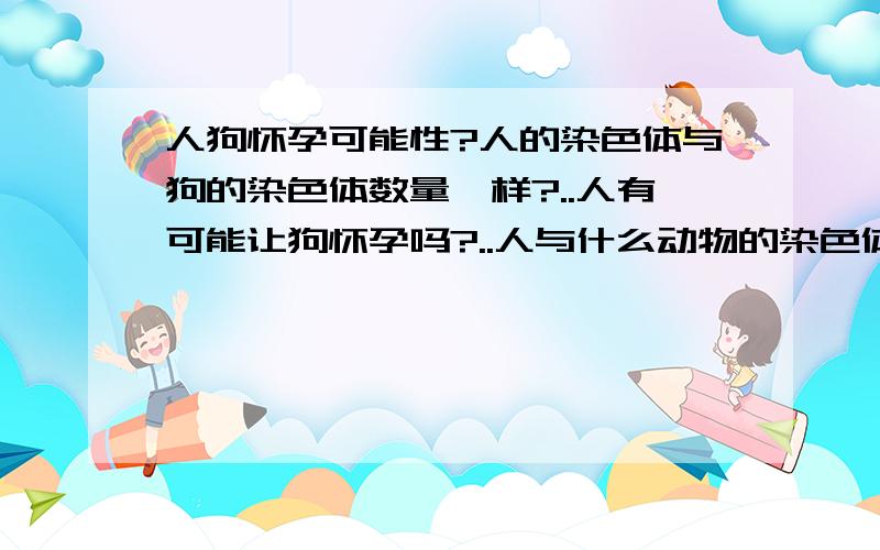 人狗怀孕可能性?人的染色体与狗的染色体数量一样?..人有可能让狗怀孕吗?..人与什么动物的染色体数量一样?...又有机会另该动物怀孕吗?可以回答清楚一点吗?