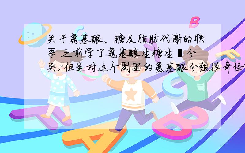 关于氨基酸、糖及脂肪代谢的联系 之前学了氨基酸生糖生酮分类,但是对这个图里的氨基酸分组很奇怪啊,是说明只有那几种氨基酸能生成那个物质吗?感觉没什么依据,