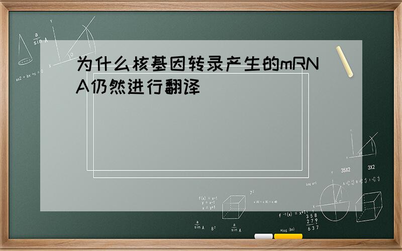 为什么核基因转录产生的mRNA仍然进行翻译