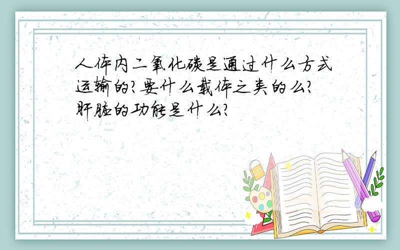 人体内二氧化碳是通过什么方式运输的?要什么载体之类的么?肝脏的功能是什么?