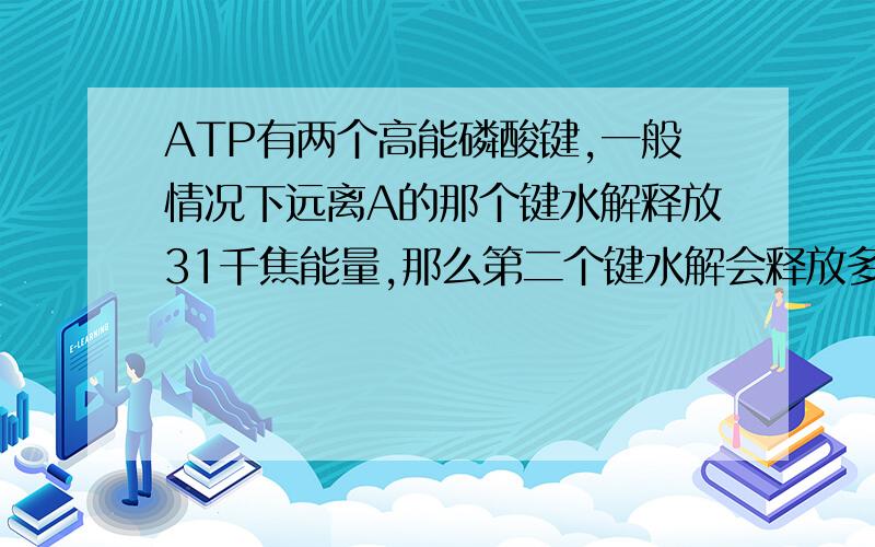 ATP有两个高能磷酸键,一般情况下远离A的那个键水解释放31千焦能量,那么第二个键水解会释放多少能量呢?