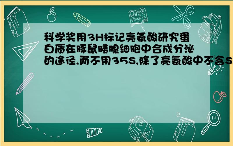 科学奖用3H标记亮氨酸研究蛋白质在豚鼠胰腺细胞中合成分泌的途径,而不用35S,除了亮氨酸中不含S元素外,重要的是___________________answer:糖类,脂质和蛋白质都含有H,糖类,脂质不会被分泌到细胞