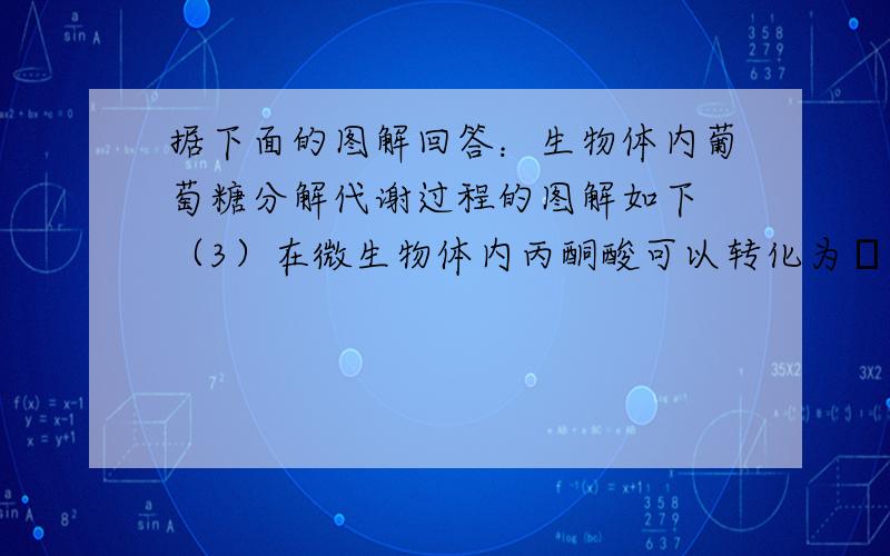 据下面的图解回答：生物体内葡萄糖分解代谢过程的图解如下 （3）在微生物体内丙酮酸可以转化为α－酮戊二酸,该酸在酶的催化作用下可以转化为谷氨酸,当谷氨酸增多,并与酶结合时,可导