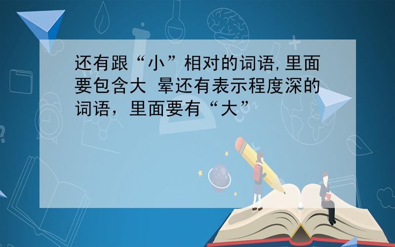 还有跟“小”相对的词语,里面要包含大 晕还有表示程度深的词语，里面要有“大”