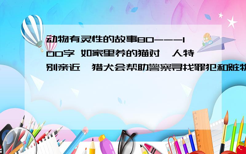 动物有灵性的故事80---100字 如家里养的猫对峙人特别亲近,猎犬会帮助警察寻找罪犯和赃物.把看到·听到的有关动物有灵性的事写下来.ps：不许抄袭