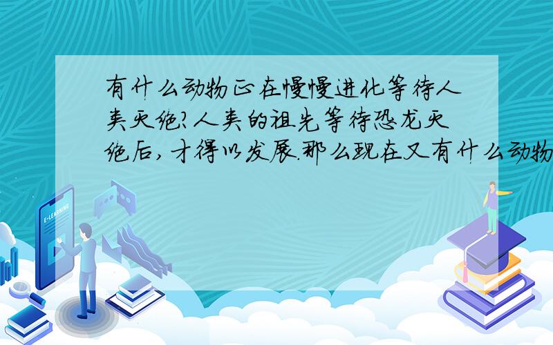 有什么动物正在慢慢进化等待人类灭绝?人类的祖先等待恐龙灭绝后,才得以发展.那么现在又有什么动物在等待人类灭绝吗?他们会进化成不死之身吗