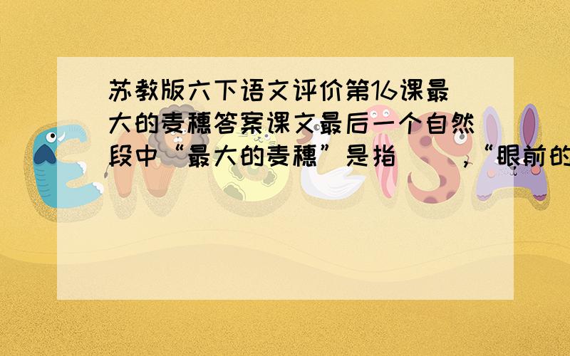 苏教版六下语文评价第16课最大的麦穗答案课文最后一个自然段中“最大的麦穗”是指（ ）,“眼前的一穗”指（ ）.读了这段话,我从中得到的启发是（ ）.