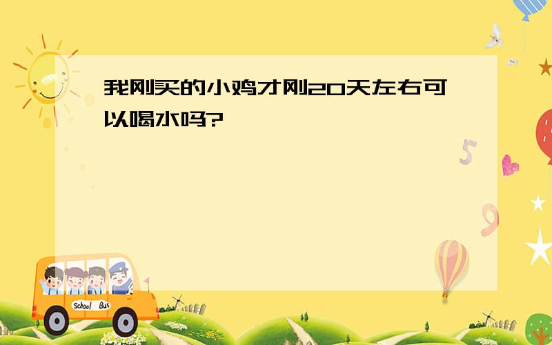 我刚买的小鸡才刚20天左右可以喝水吗?