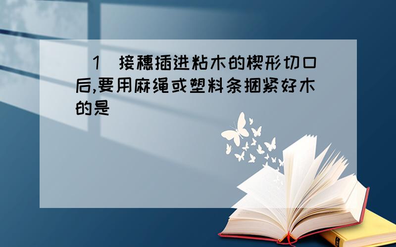 （1）接穗插进粘木的楔形切口后,要用麻绳或塑料条捆紧好木的是＿＿＿＿＿＿＿＿＿＿＿＿＿＿＿＿＿＿＿＿＿＿＿＿＿＿＿问答题：2．为什么无性生殖的后代,个体之间十分相似呢?这与