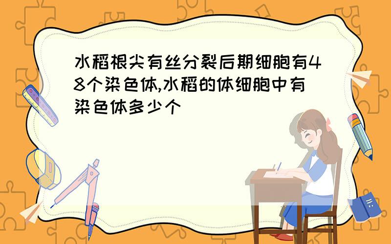 水稻根尖有丝分裂后期细胞有48个染色体,水稻的体细胞中有染色体多少个