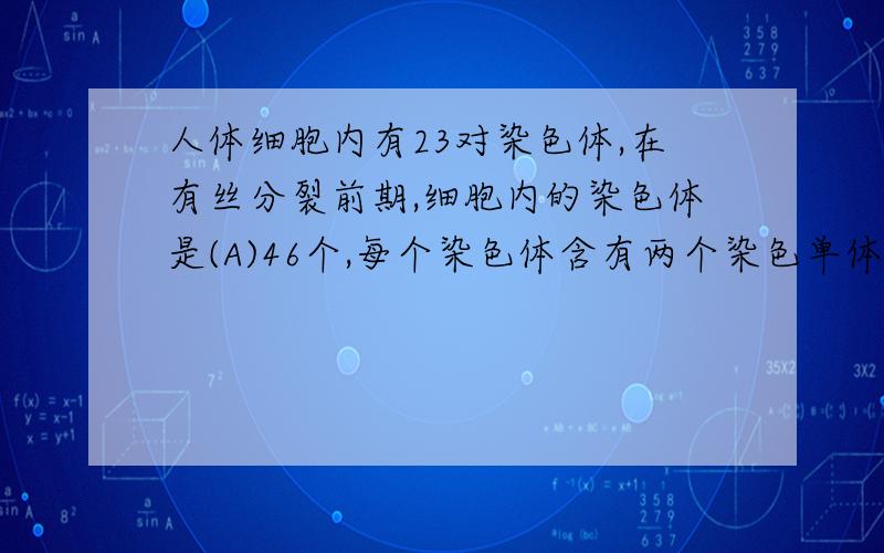 人体细胞内有23对染色体,在有丝分裂前期,细胞内的染色体是(A)46个,每个染色体含有两个染色单体 (B)23个,每个染色体含有两个染色单体(C)46个,每个染色体不含染色单体 (D)92个,每个染色体不含