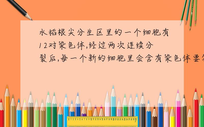 水稻根尖分生区里的一个细胞有12对染色体,经过两次连续分裂后,每一个新的细胞里会含有染色体要答案有多少对A12对    B6对    C3对    D24对  并说明理由