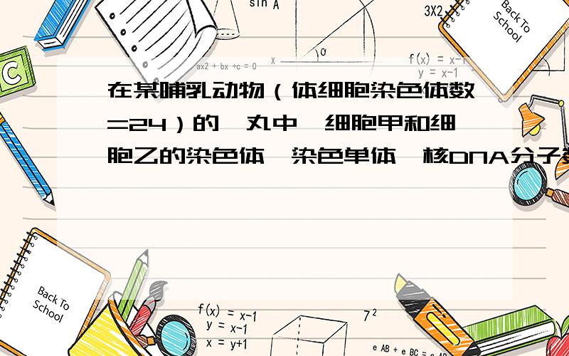 在某哺乳动物（体细胞染色体数=24）的睾丸中,细胞甲和细胞乙的染色体、染色单体、核DNA分子数依次是24、48、48和12、24、24.下列关于细胞甲和细胞乙的分裂方式的判断正确的是 ( )A．细胞甲