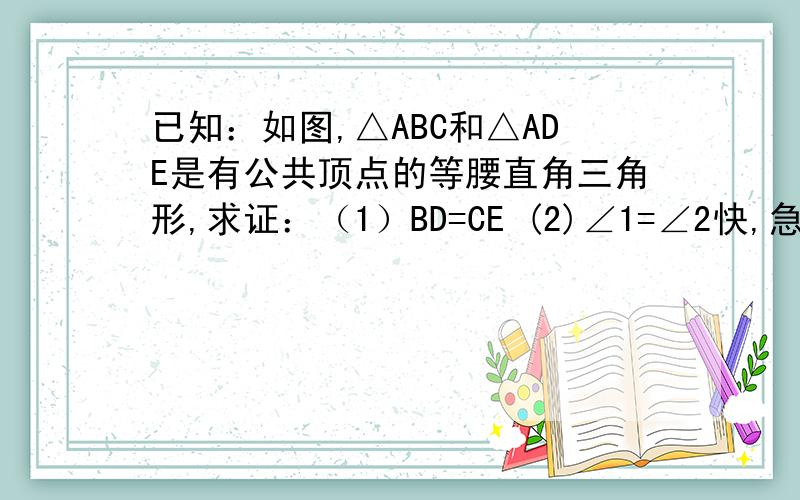 已知：如图,△ABC和△ADE是有公共顶点的等腰直角三角形,求证：（1）BD=CE (2)∠1=∠2快,急要,谢谢了!