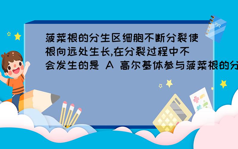 菠菜根的分生区细胞不断分裂使根向远处生长,在分裂过程中不会发生的是 A 高尔基体参与菠菜根的分生区细胞不断分裂使根向远处生长,在分裂过程中不会发生的是 A 高尔基体参与细胞壁的