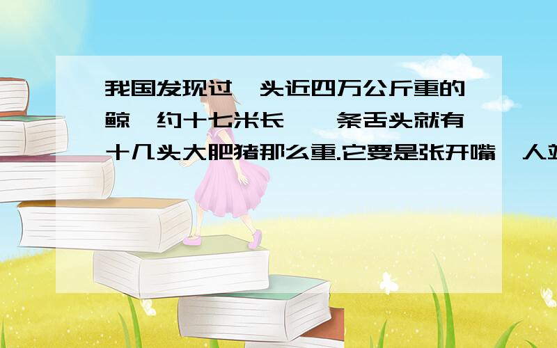 我国发现过一头近四万公斤重的鲸,约十七米长,一条舌头就有十几头大肥猪那么重.它要是张开嘴,人站在它的嘴里,举起手还摸不到它的上腭,四个人围着桌子坐在它的嘴里看书,还显得很宽敞.