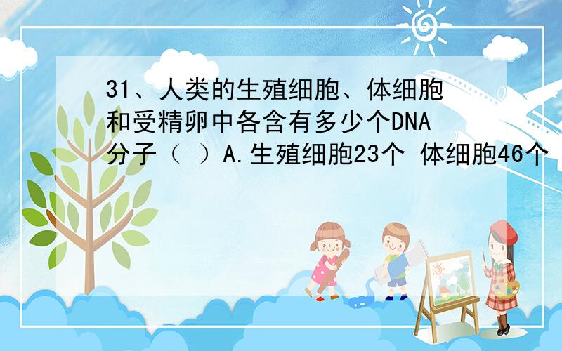 31、人类的生殖细胞、体细胞和受精卵中各含有多少个DNA分子（ ）A.生殖细胞23个 体细胞46个 受精卵23个B.生殖细胞46个 体细胞46个 受精卵23个C.生殖细胞23个 体细胞46个 受精卵46个D.生殖细胞23