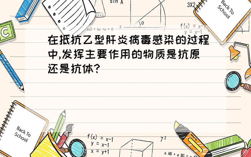 在抵抗乙型肝炎病毒感染的过程中,发挥主要作用的物质是抗原还是抗体?