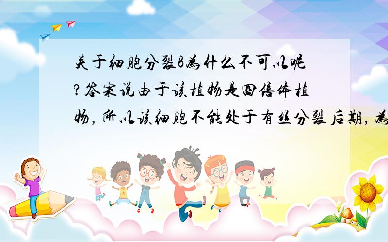 关于细胞分裂B为什么不可以呢?答案说由于该植物是四倍体植物，所以该细胞不能处于有丝分裂后期，为什么呢？